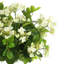 Arrangement floral d'hortensias dans un vase