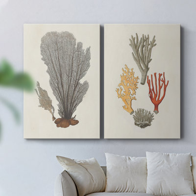 Knorr Shells & Coral III - Toile tendue avec châssis de qualité supérieure - Prêt à être accroché
