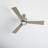 Tulsi Ceiling Fan with LED Lights-87898436-87898446