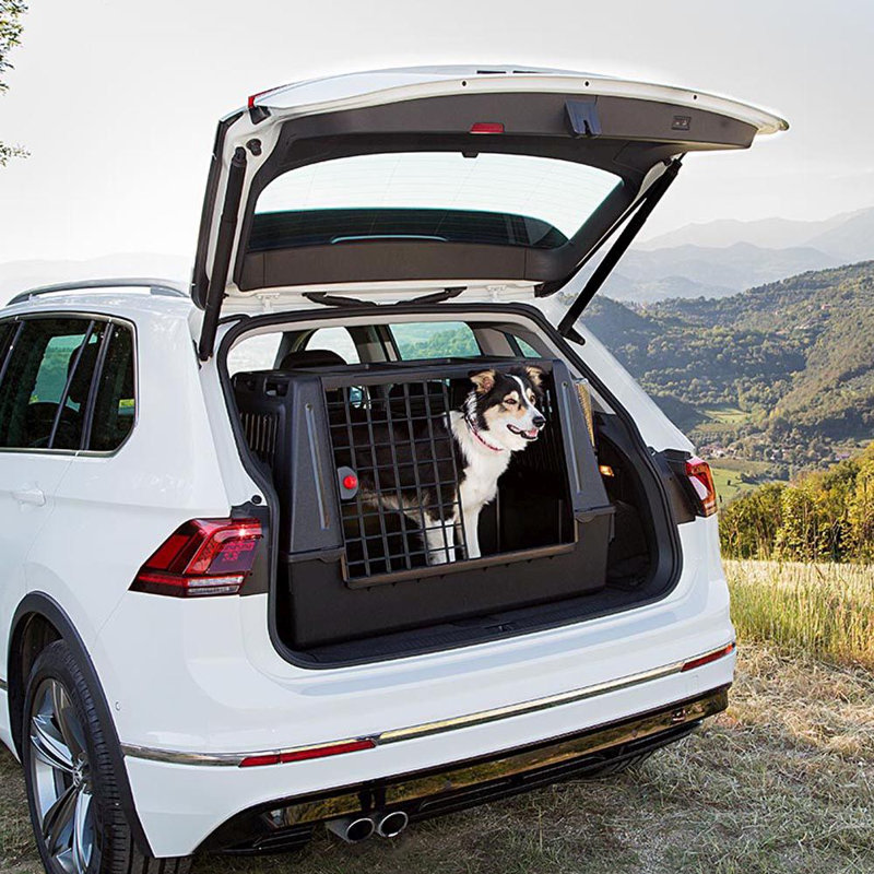 Collapsible with 2 Doors