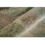 Tapis ivoire / bleu / vert Roy-1201329612