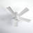 Trinika 56" Clarence 5 - Blade LED Standard Ceiling Fan with Remote Control and Light Kit Included-622829856