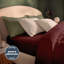 Silentnight Brushed Cotton Duvet Set-119338391-119338390