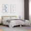 Diodorus Bed-1842726933-1842726928