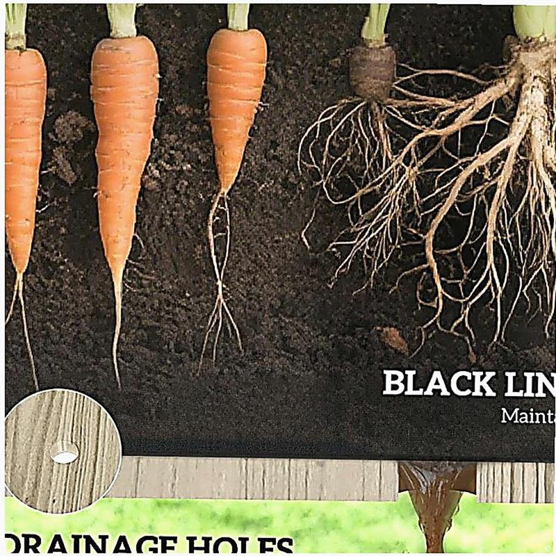 Jardinière compacte, jardin surélevé pour l'extérieur, Bois naturel