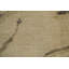 Tapis abstrait texturé abstrait 5 pi x 8 pi
