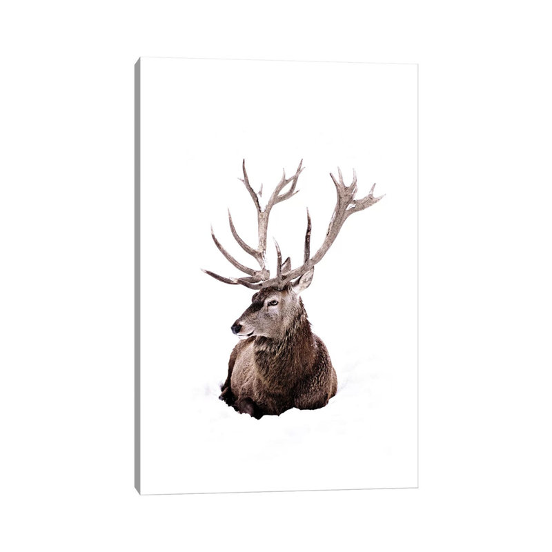 Stag In Snow II by Monika Strigel - Wrapped Canvas Print, 20.32 cm H x 30.48 cm W