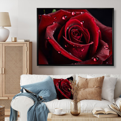 Red Rose with Raindrops III - Floral Wall Art
