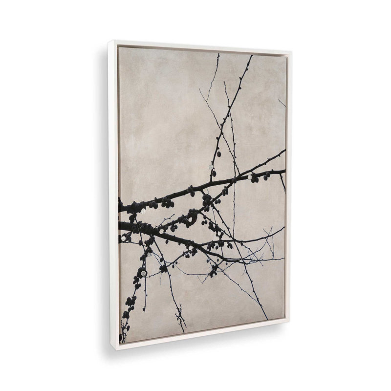 Growth Structure II by Michael Willett Art Print, 40" H x 30" W, White