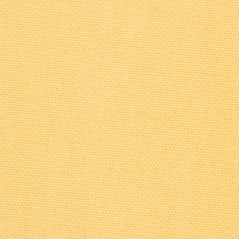 Tissu 100% coton Robert Allen @Home Stellar, Blé