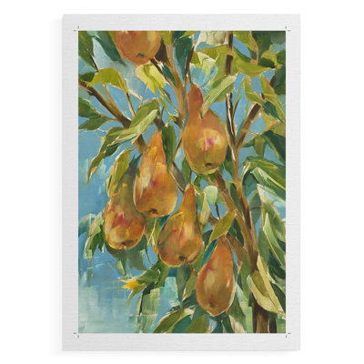 In A Pear Tree -Canvas Print Only - NOT FRAMED