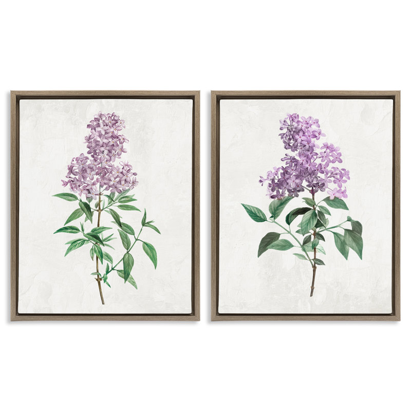 Ensemble de 2 cadres flottants Herbace Lilac Blooms, design par Kim Allen, H 31 po x l 25 po, Cadre flottant orme Montalcino