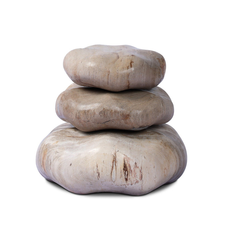 Petrified Wood Organic Sculpture, Light Brown