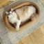 Scratching Post