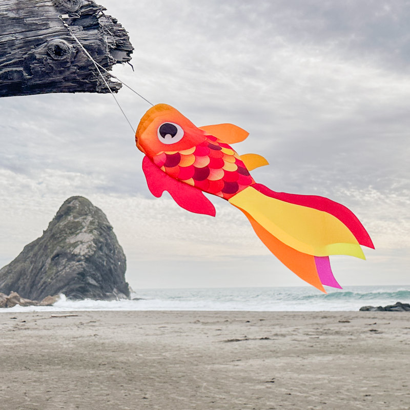 15" Damsel Fish Windsock, Orange