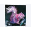 «Pink Squirrel», reproduction sur toile-29773337-74426793-74426802