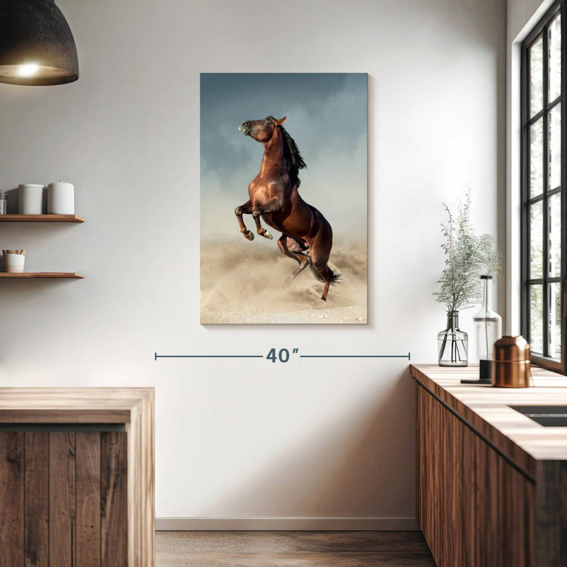 Brampt Brown Andalusian Horse, 39" H x 26" W
