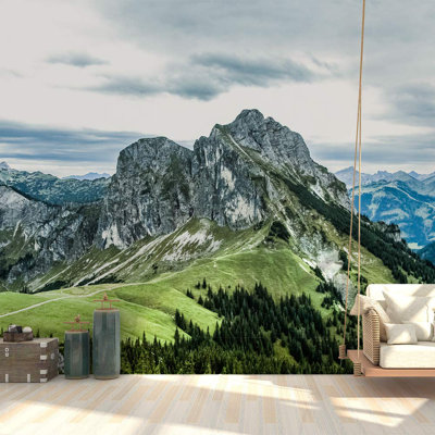 Magnificent Mountain View