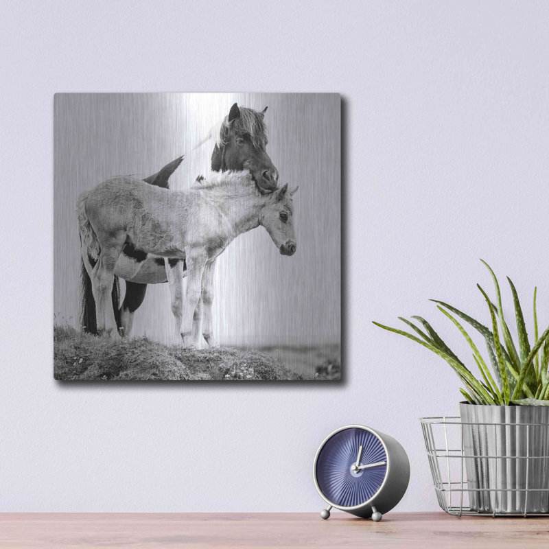 «BandW Horses I» par PH Burchett, H 12 po x l 12 po