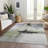 Segin Area Rug-109484401