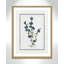 Colombe Soft Botanical I - Art encadré avec fond perdu-72514528-72514533