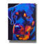 «Rottie - Dexter» par Dawg Painter-690514427