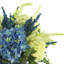Hydrangea Floral Arrangement in Vase