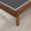 Tennis de table Elton par HB Home