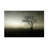 Bolog Wim Schuurmans  Dawn Canvas Art-109222614