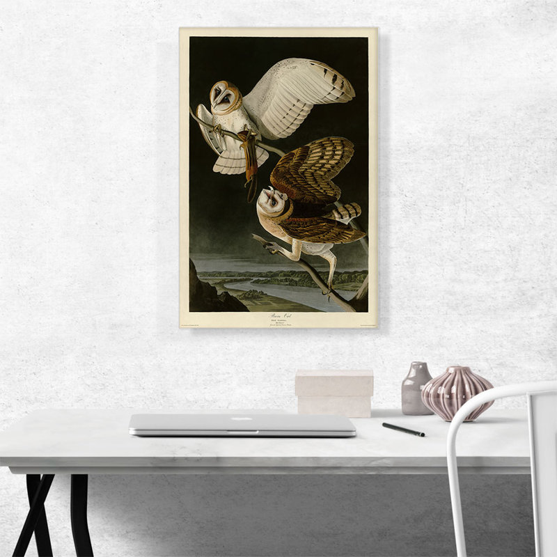 «Barn Owl» par James Audubon - impression sur toile tendue, H 26 po x l 18 po x 1,5 po
