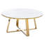 Danika Solid Coffee Table with Storage