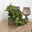Philodendron plante artificielle 9 po