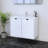 Taren 31.5'' Single Bathroom Vanity with Top