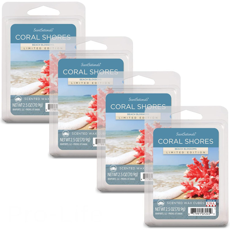 Collection de fond de cire ScentSationals 4PK, Fruité