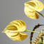 Ornements de fleurs simulées