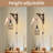 Farmhouse Plug in Wall Sconce Set of 2
