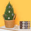 12 PCS Velours Boules De Noël Arbre De Noël Décoration Suspendue.-950347028