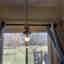 Photos des clients 2 de 2