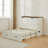 Farmhouse Queen Murphy Bed with Large Storage Drawer & Charging Station, White-1238594352-1218647875