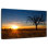 Kalahari Sundown