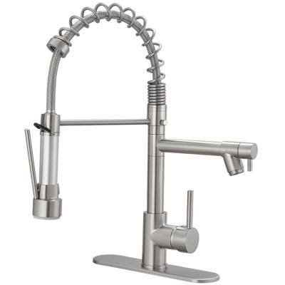 Pull Down Single Handle Kitchen Faucet with Accessories