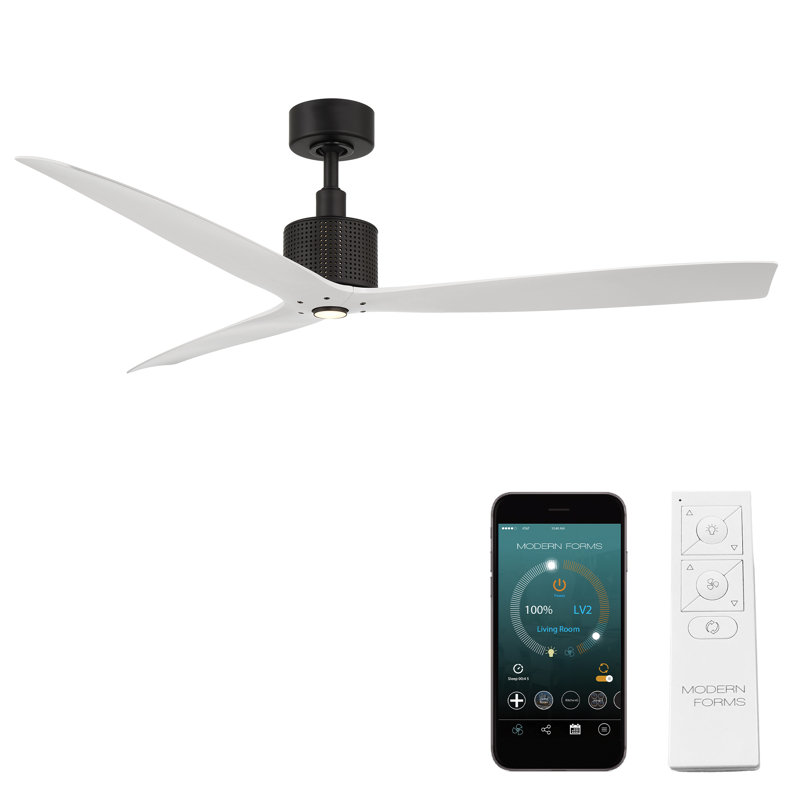 Spinster 3-Blade Smart Ceiling Fan, Matte Black/Matte White