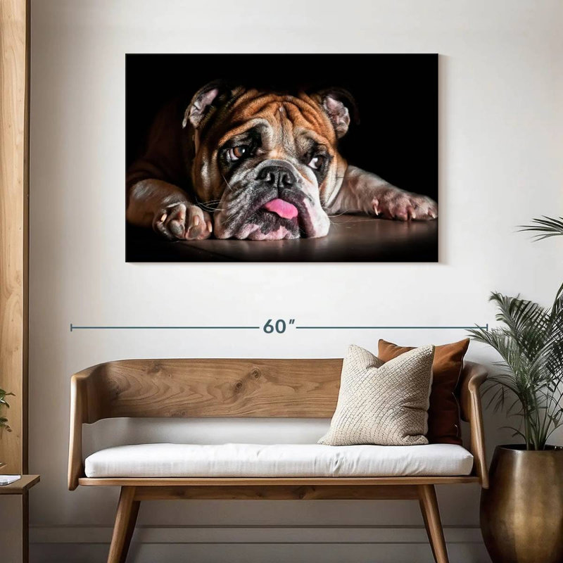 Triste bouledogue, H 30 po x l 45 po
