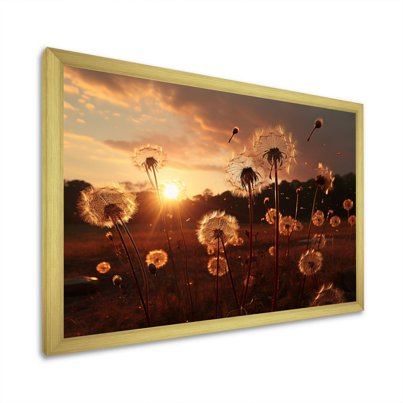 Coucher de soleil sur un champ de pissenlits I - impressions murales florales, H 30 po x l 40 po x P 1,5 po, Encadrement doré