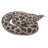 CURLED UP PYTHON STATUE