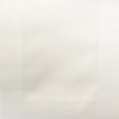 Solid Velvet | Velluto Fabric