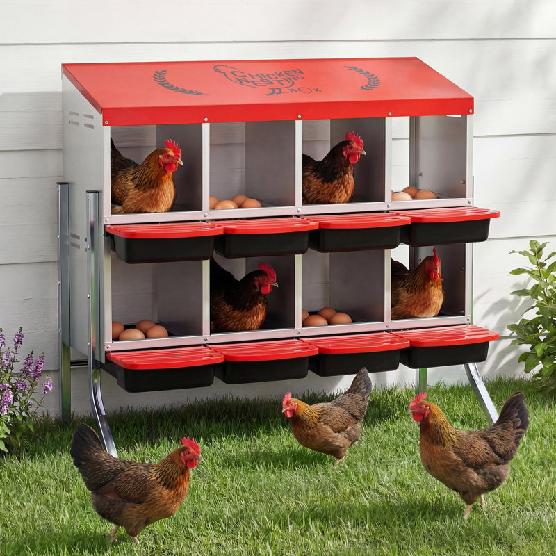 Boîte de nidification pour poulets en métal 8 trous, boîte de ponte résistante à la rouille avec plateau roulant et pieds de support, nichoirs pour poules, rouge