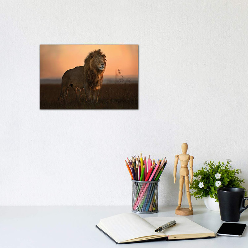 The King In The Morning Light by Xavier Ortega - Wrapped Canvas Print, 20.32 cm H x 30.48 cm W