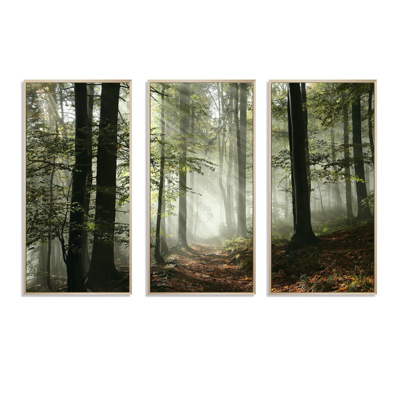«Light In Dense Fall Forest With Fog», ensemble d'art mural sur toile encadré paysage, H 32 po x l 48 po, Cadre brun