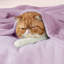Couvertures douillettes et douillettes pour lit, canapé, canapé, voyage, camping-111074362-111074331